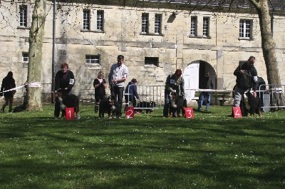 du clos de l'envolée sauvage - NATIONALE D ELEVAGE DE ROIFFE 2013